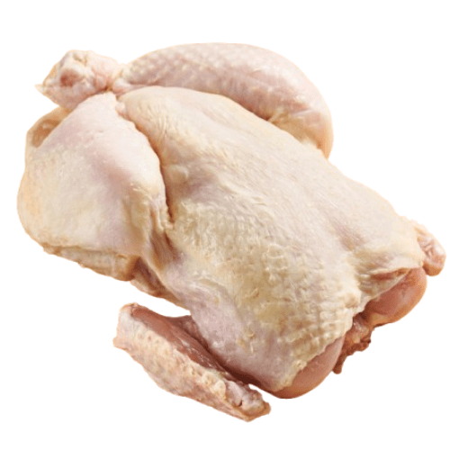 ....Untitled design (5)